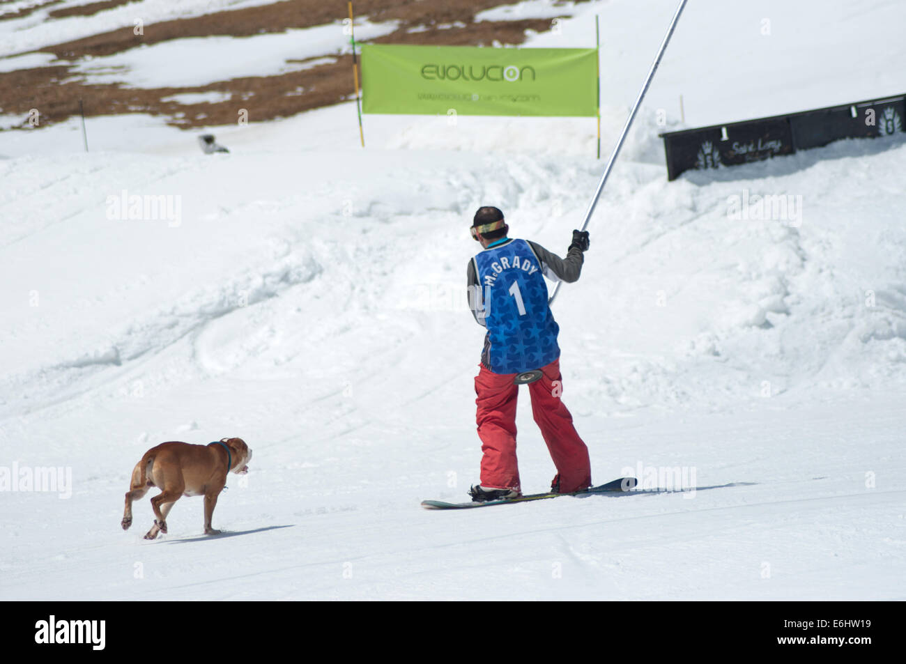 Les coureurs de ski Snow et aller dans la neige Banque D'Images