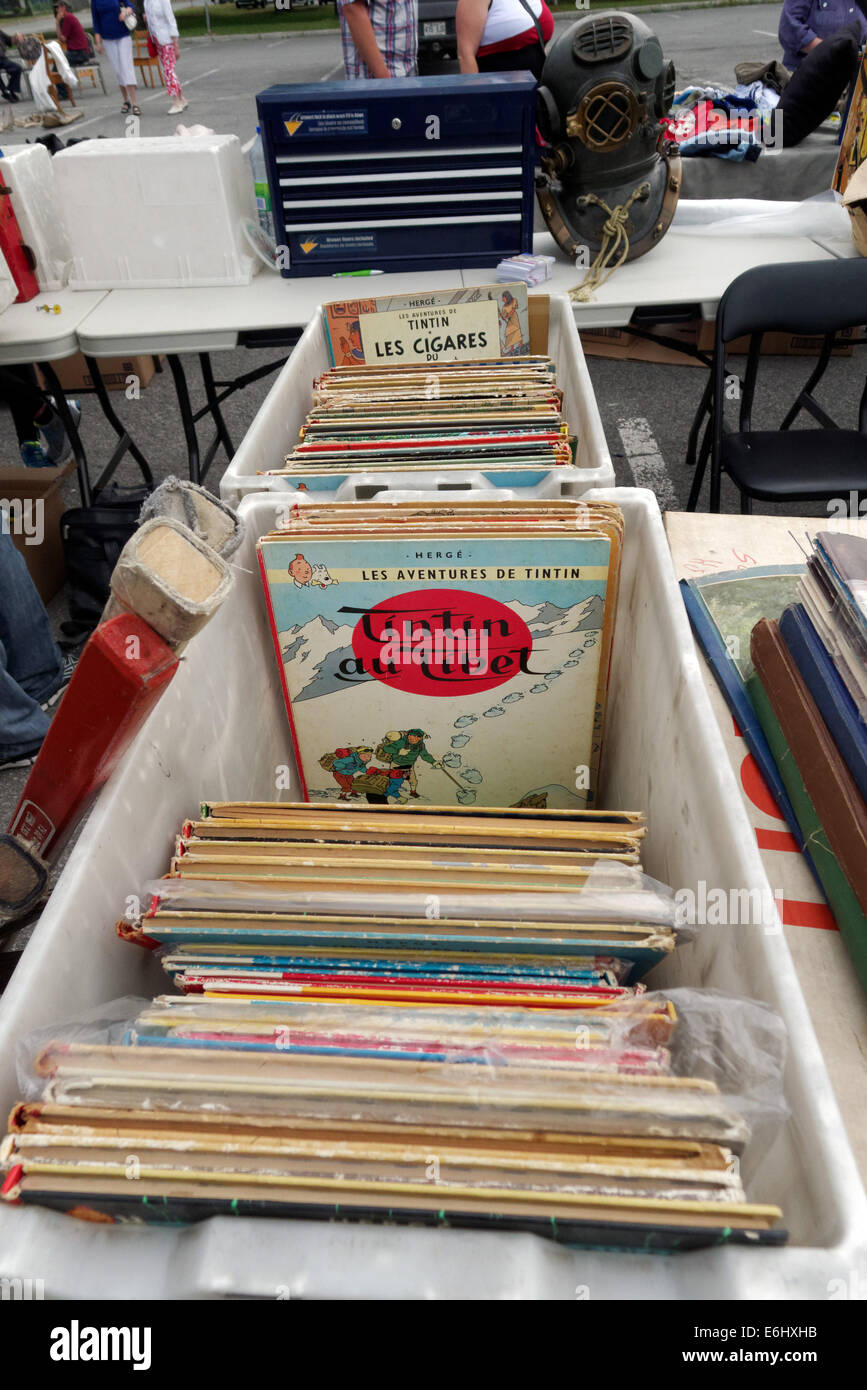 Livre Tintin à vendre à un marché aux puces Banque D'Images