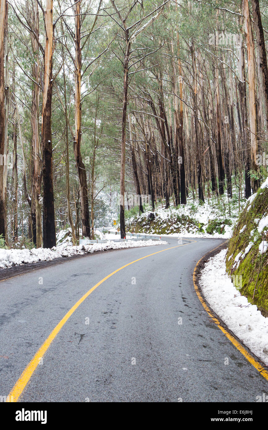 La route du Lac de montagne en parc national de Yarra après une tempête de neige à Victoria, Australie Banque D'Images