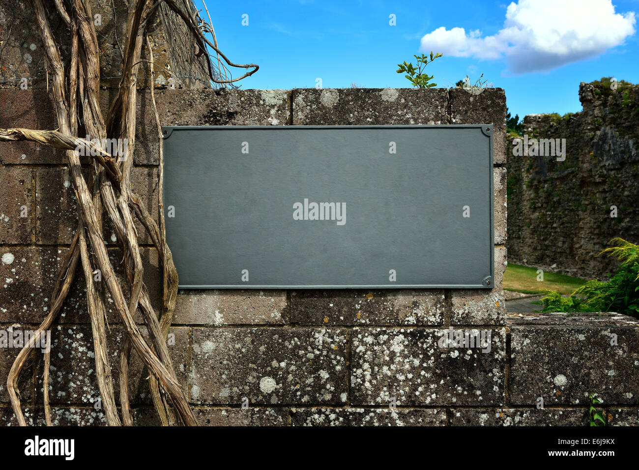 Vieille plaque sur vieux mur de pierre avec ciel bleu et les plantes Banque D'Images