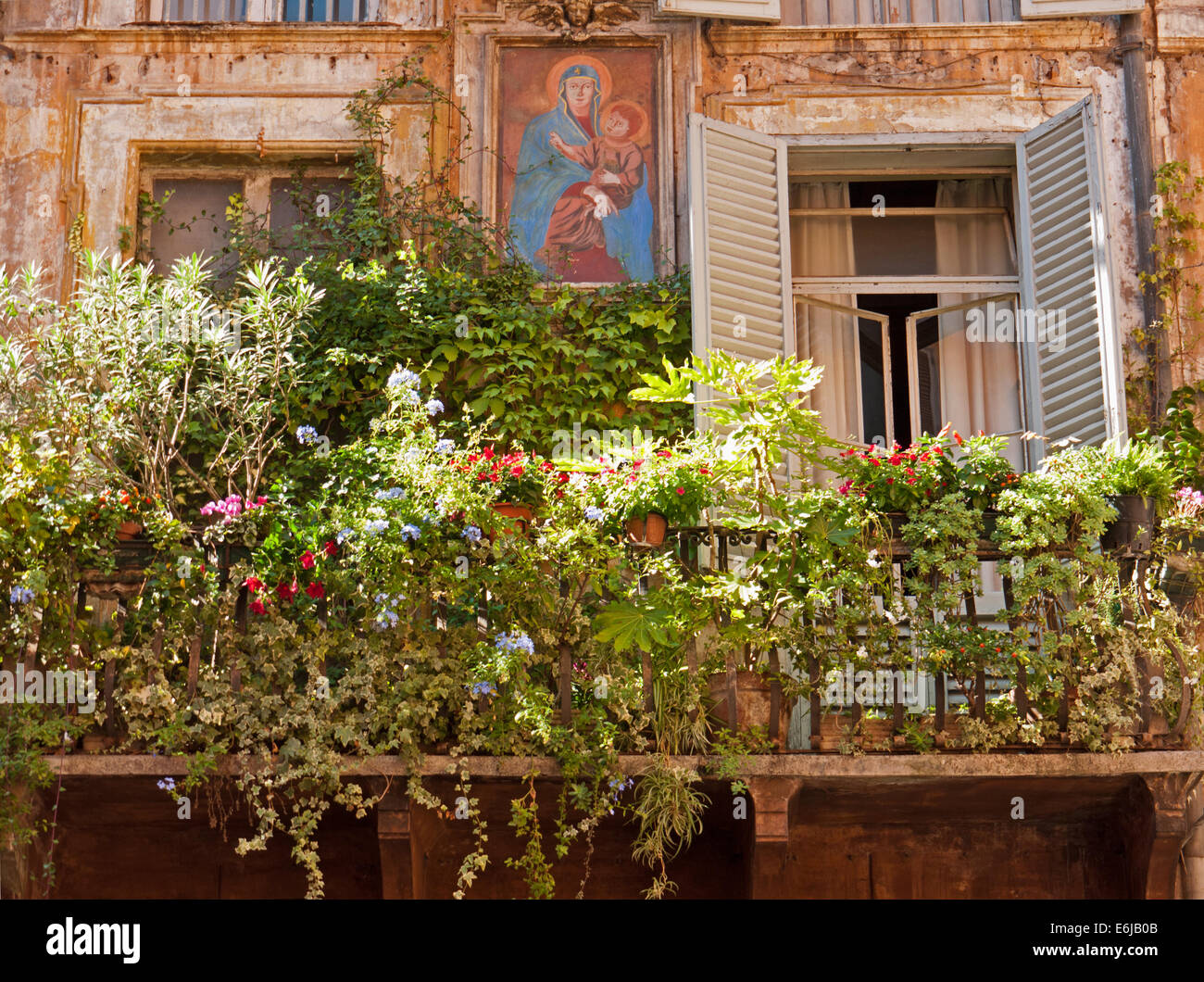 Balcon caractéristique de plantes vertes et l'icône peinte, Rome, Italie Banque D'Images