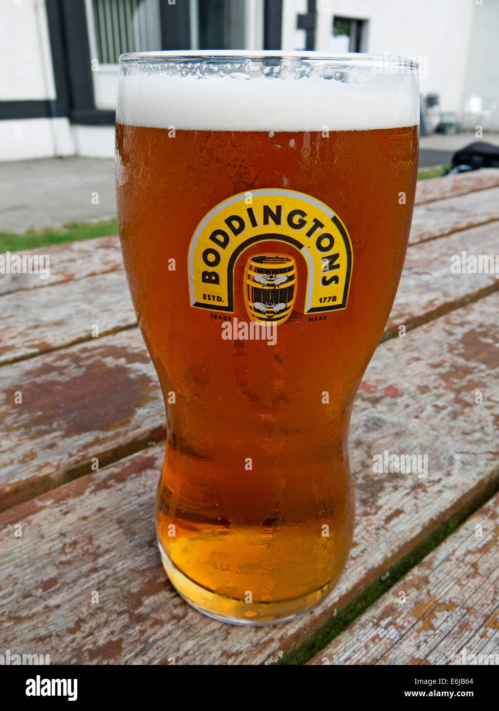 Verres de Boddingtons amer de Manchester dans un verre de pinte Banque D'Images