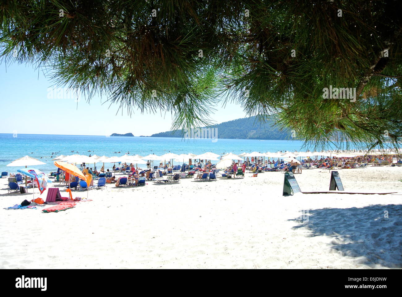 Des parasols, la plage dorée, Thassos, Grèce Banque D'Images