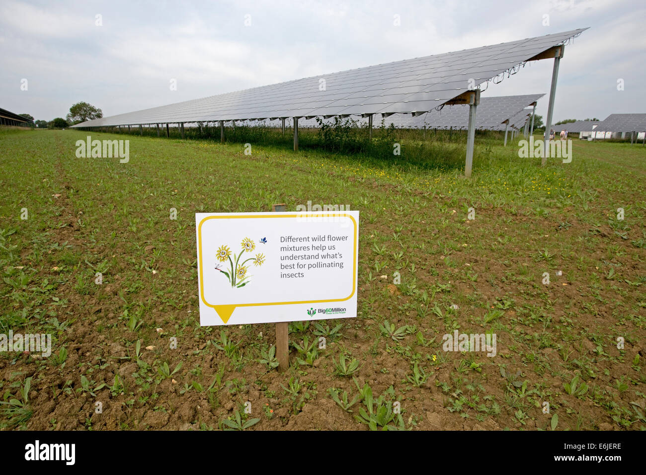 Wildlife friendly conseils d'information sur la ferme solaire de Belectric Willersey Cotswolds Nord UK Banque D'Images