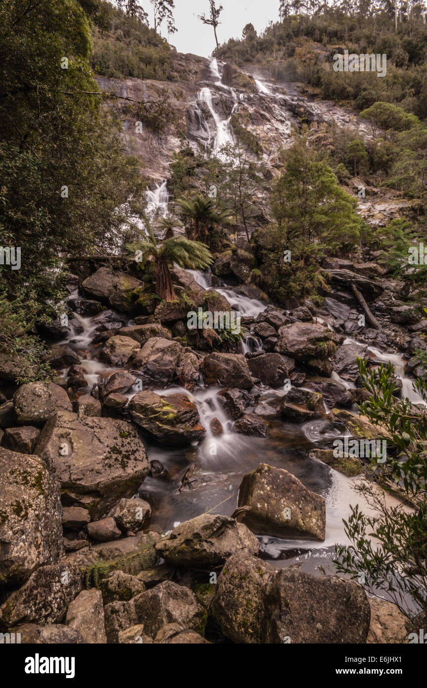 ST COLUMBA FALLS, UNE CHUTE D'EAU, ST COLUMBA FALLS STATE RESERVE, PYENGANA VALE, vallée, St Helens, dans le nord est de la Tasmanie, Australie Banque D'Images