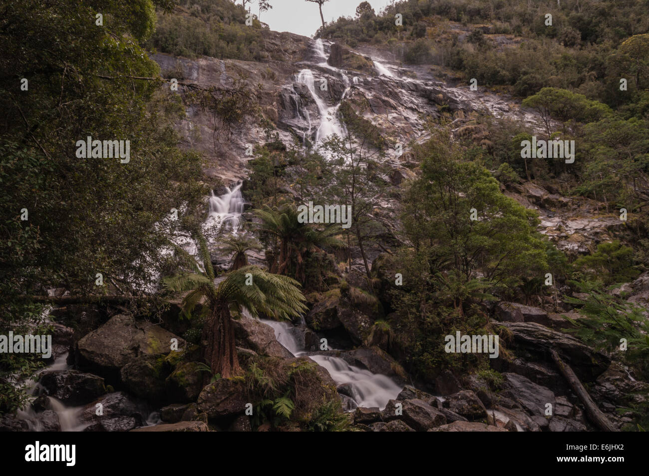 ST COLUMBA FALLS, UNE CHUTE D'EAU, ST COLUMBA FALLS STATE RESERVE, PYENGANA VALE, vallée, St Helens, dans le nord est de la Tasmanie, Australie Banque D'Images