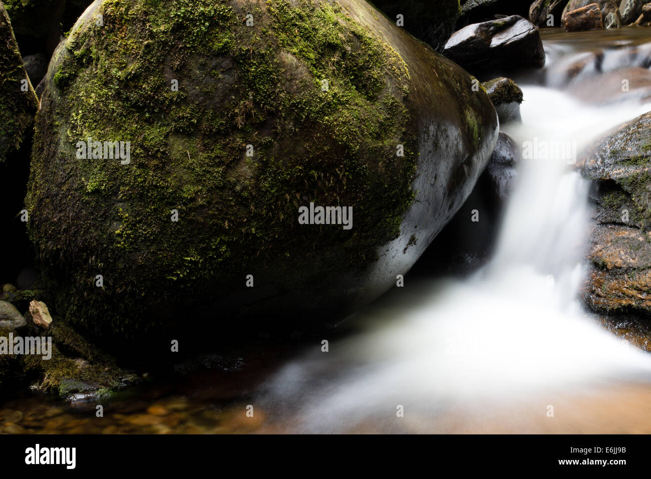 Torc Waterfall piscine inférieure, Killarney, Kerry, Irlande Banque D'Images