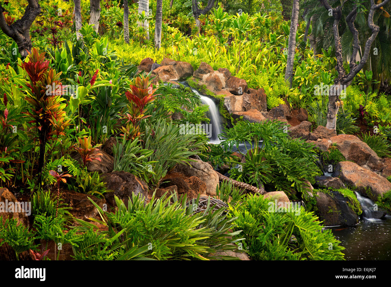 Jardin avec chutes d'eau à quatre saisons. Lanai, Hawaii. Banque D'Images