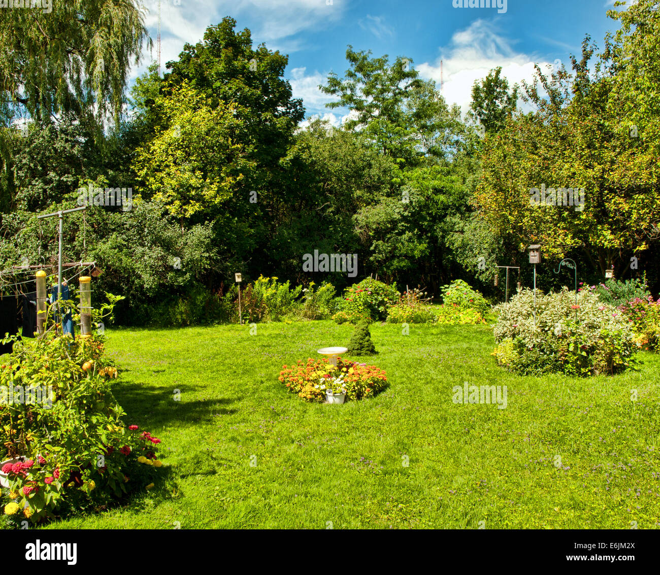 Dans l'arrière-cour, de plantes, d'oiseaux et petit jardin Banque D'Images