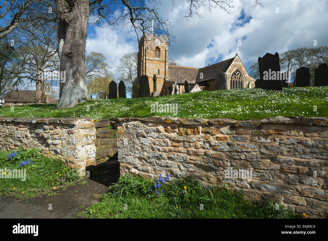 St Giles church et son cimetière plein de marguerites en fleurs dans le village pittoresque de Medbourne dans le Leicestershire, Angleterre. Banque D'Images