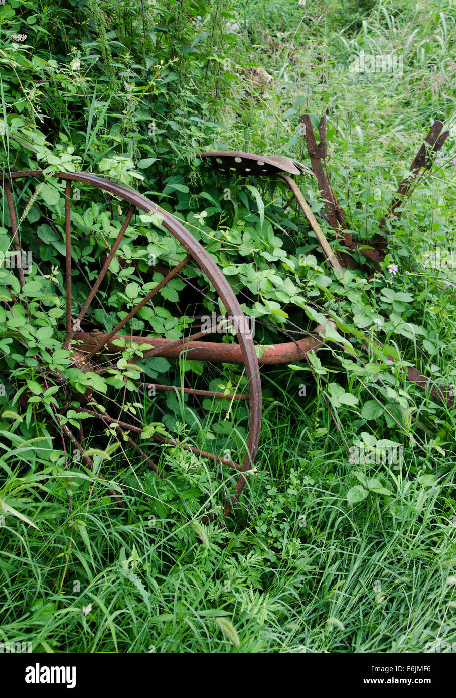 Old rusty ferme agricole machine couverte par les mauvaises herbes. L'Italie. Banque D'Images