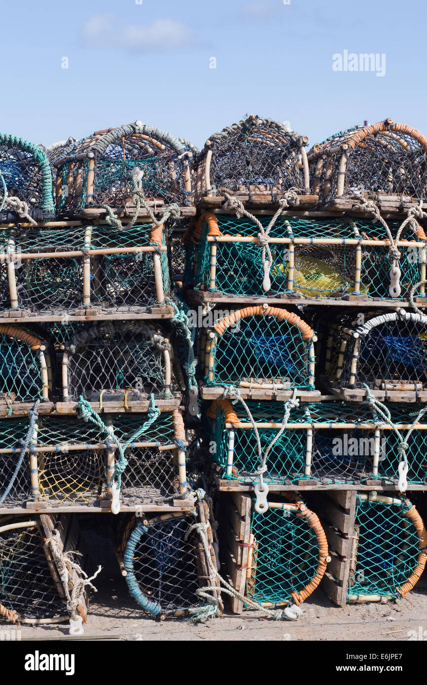 Des casiers à homard sur le quai. Banque D'Images