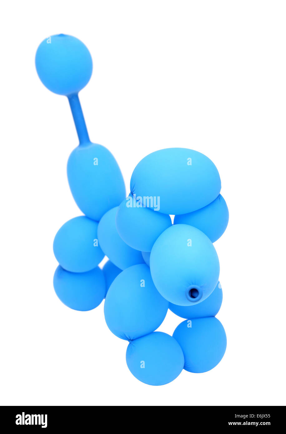 Caniche animaux ballon Photo Stock - Alamy