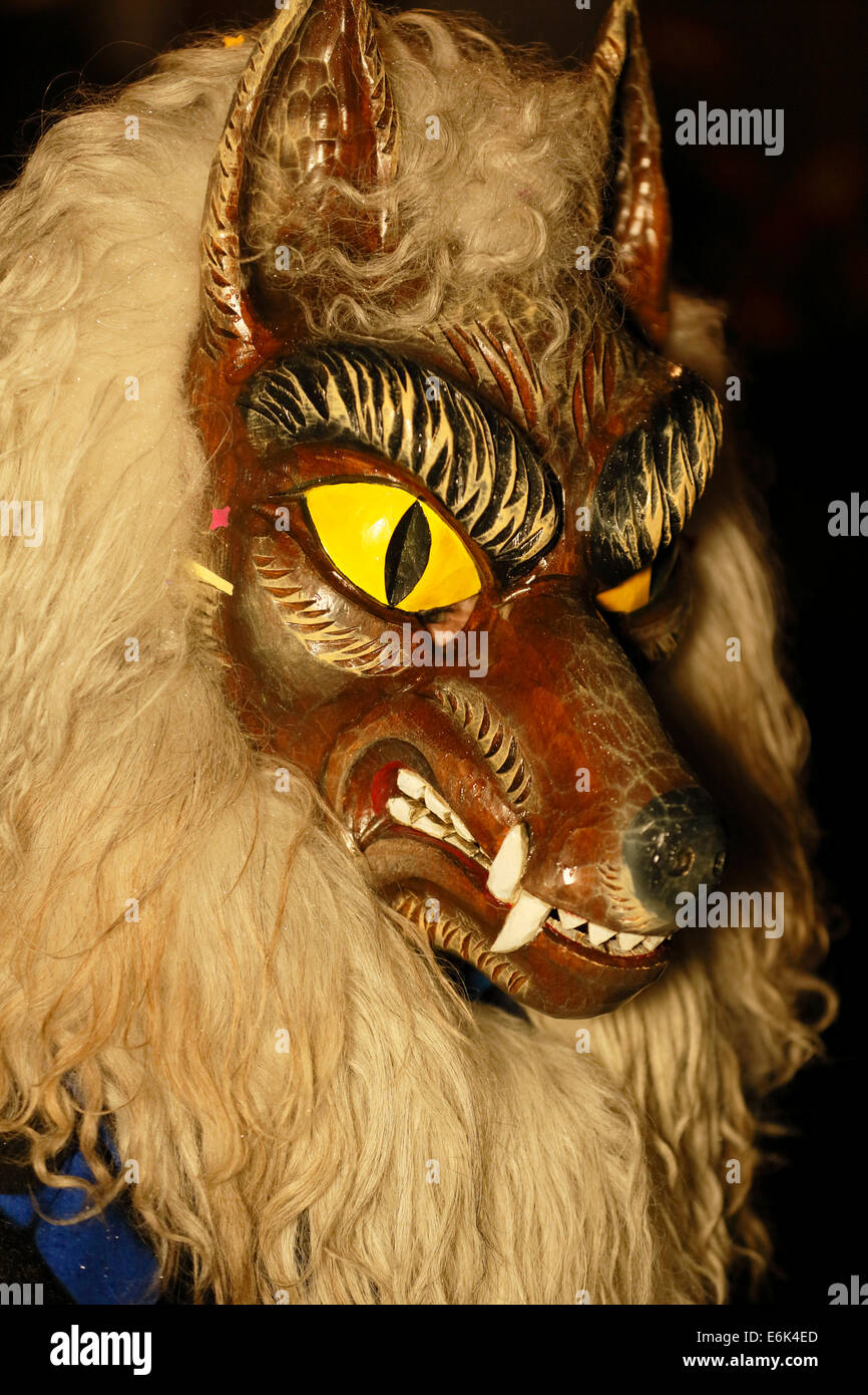 Amateur de carnaval avec un masque, Butzenlauf Wolf Parade, carnaval alémanique, Konstanz, Baden-Württemberg, Allemagne Banque D'Images