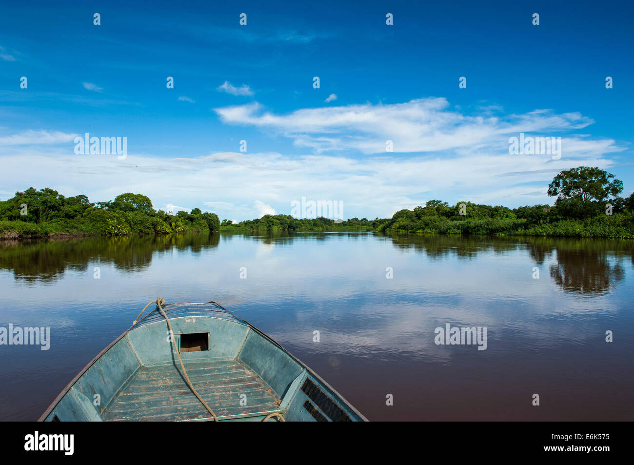 Bateau sur une rivière, entourée d'arbres, Pantanal, UNESCO World Heritage Site, Mato Grosso do Sul, Brésil Banque D'Images