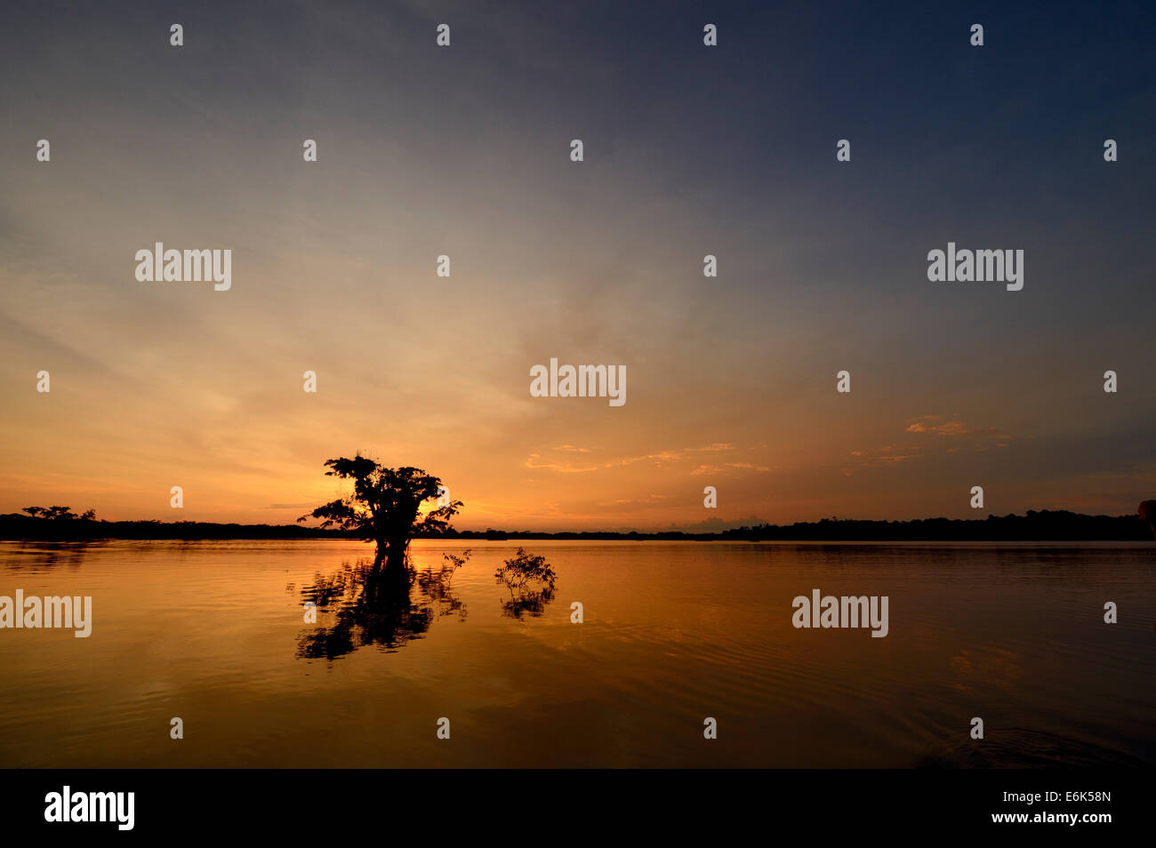 Arbres, coucher du soleil, le rio Cuyabeno, rivière Cuyabeno, Equateur Banque D'Images