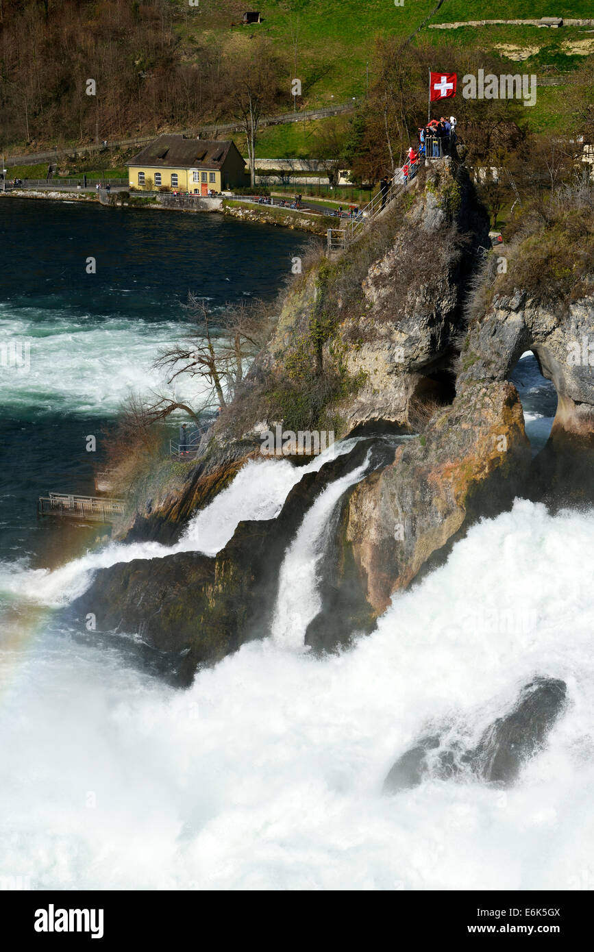 Chutes du Rhin, canton de Schaffhouse, Suisse Banque D'Images