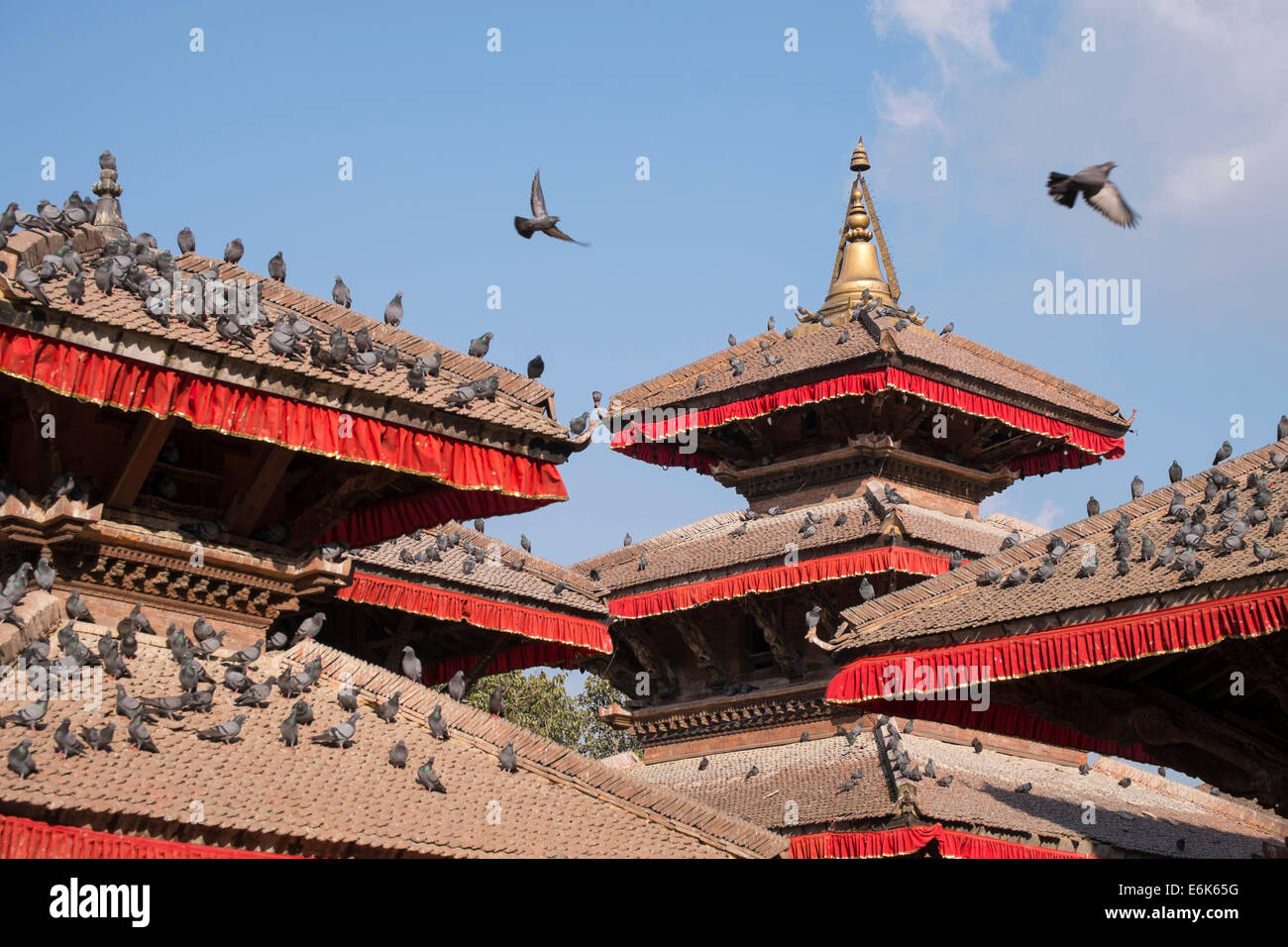 Pigeons sur le toit du temple, Durbar Square, Katmandou, Népal Banque D'Images