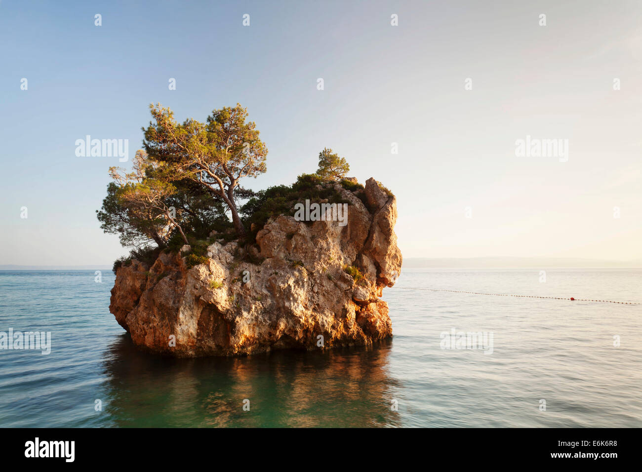 Arbre qui pousse sur un rocher dans la mer, près de Split, Makarska Riviera, côte Adriatique
