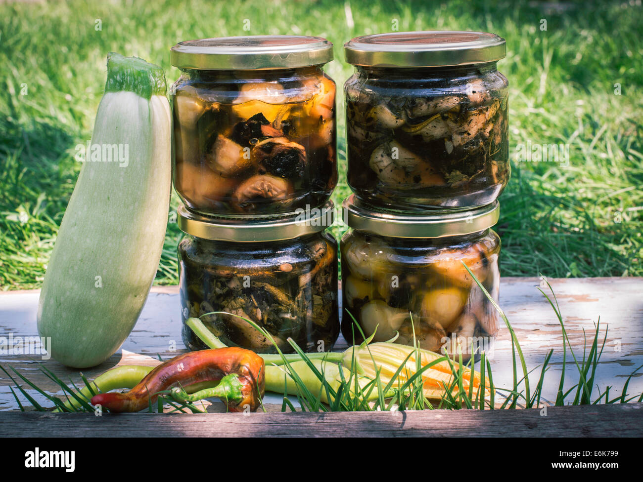 Jardin de légumes en conserve Banque D'Images