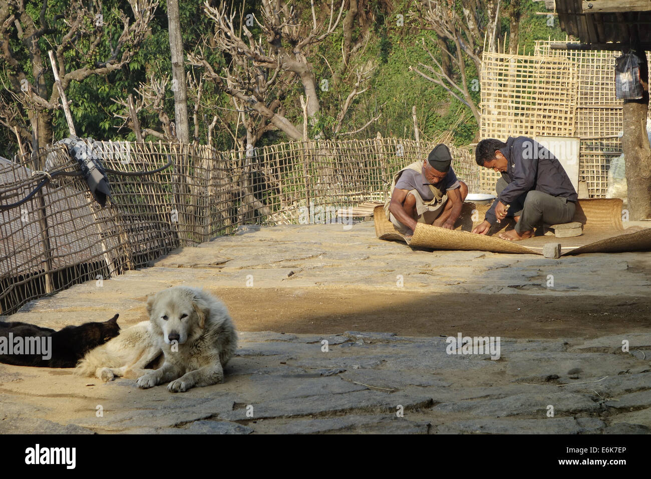 Fabrication de tapis de bambou, la vie au village népalais, Banque D'Images