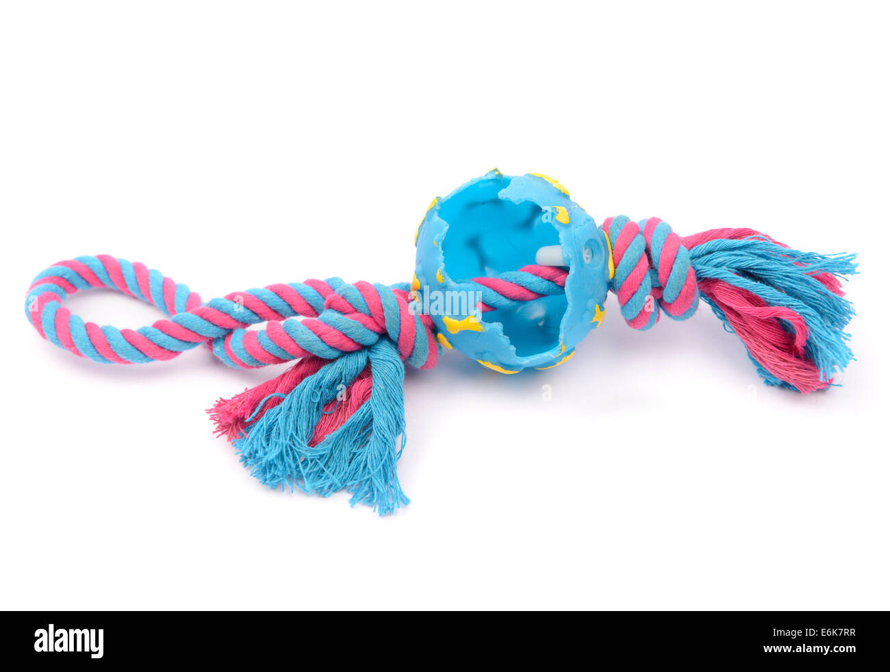 Mâché coloré jouet chien coupé isolé sur fond blanc Banque D'Images