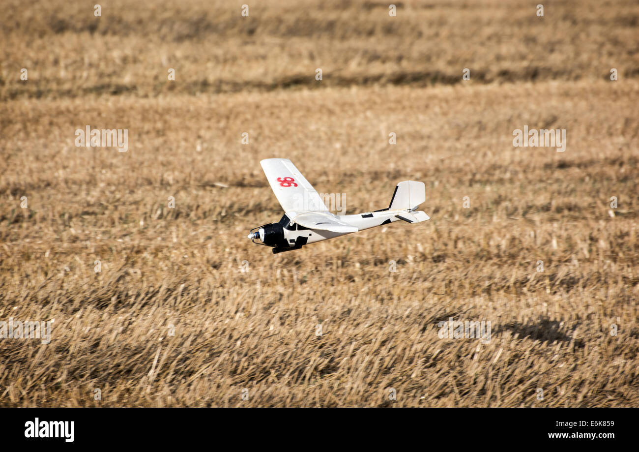 Modèle d'avion rc (sur fond jaune. Activité en plein air. Banque D'Images