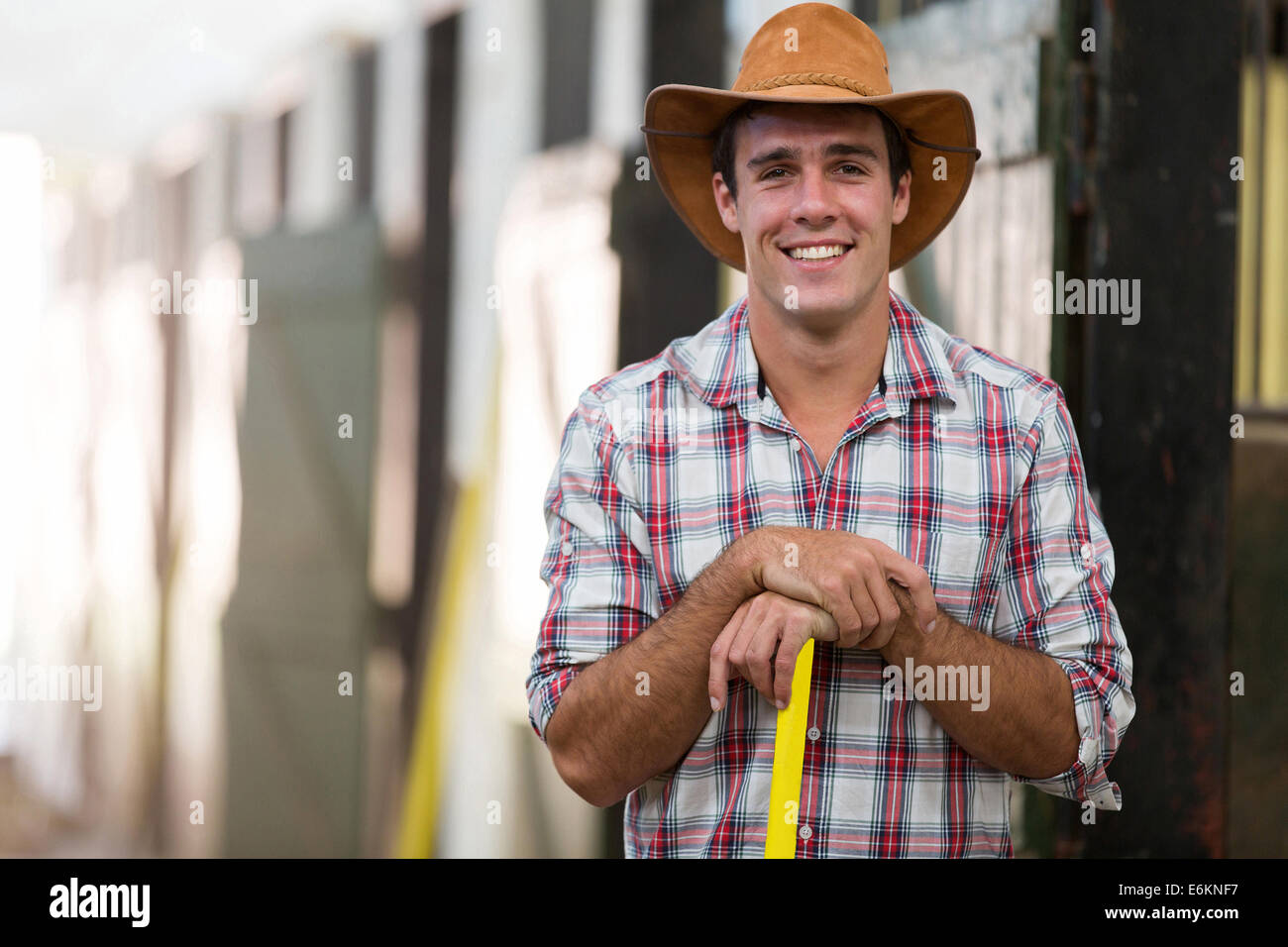 Portrait of happy horse stable à l'intérieur de l'obtenteur Banque D'Images