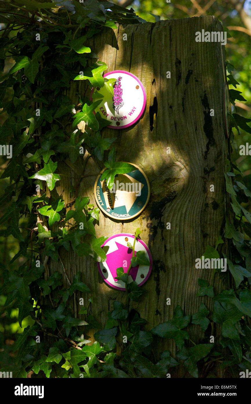 Waymarker sur la façon dont l'est du Devon, UK Banque D'Images