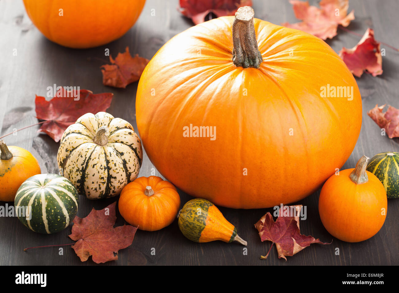 Automne halloween pumpkins sur fond de bois Banque D'Images