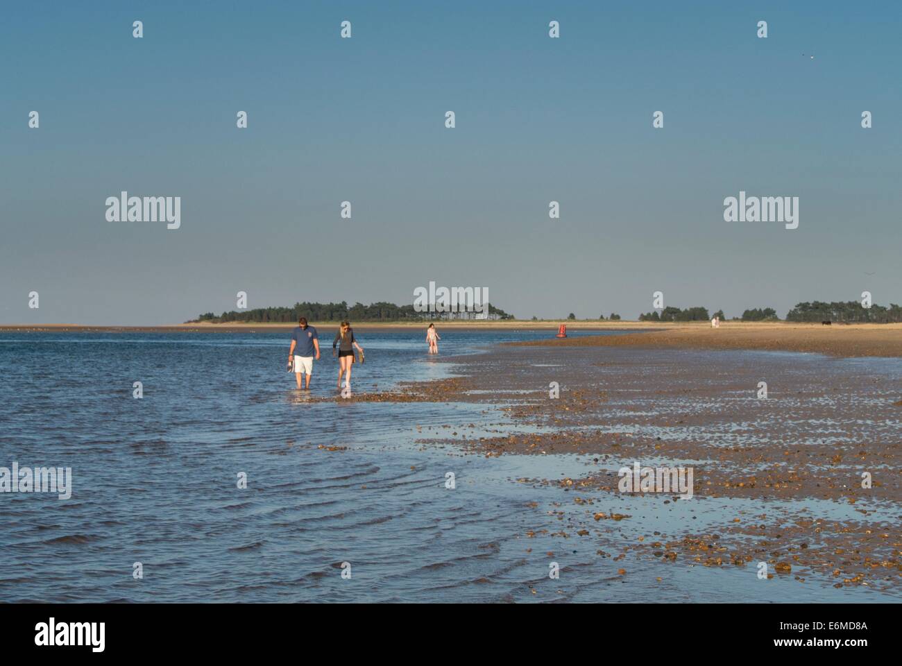 Étendue de plage avec des gens pagayage, Wells-next-the-Sea, Norfolk, Angleterre. Banque D'Images