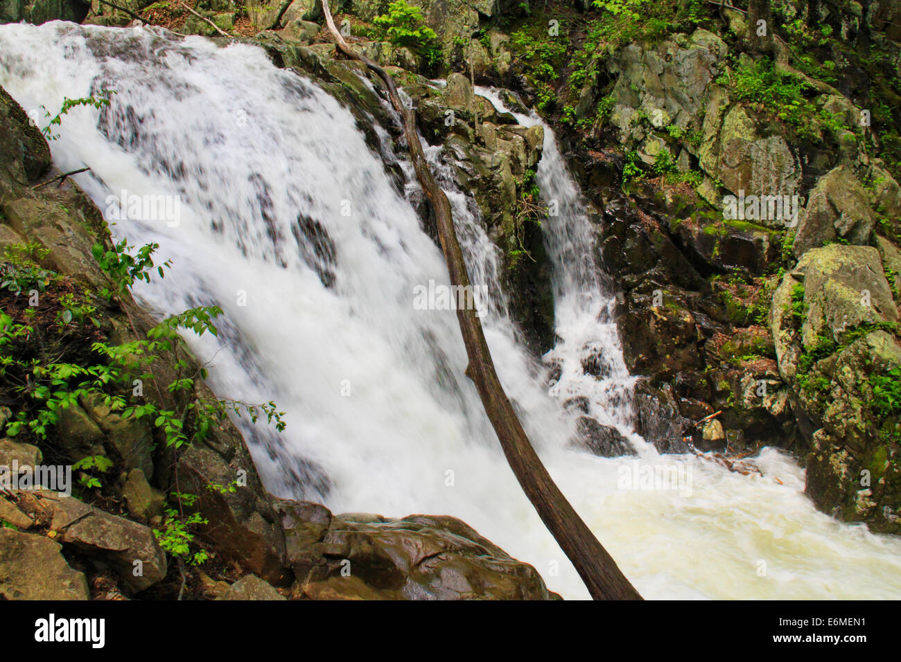 Rose River Falls, Shenandoah National Park, Virginia, USA Banque D'Images