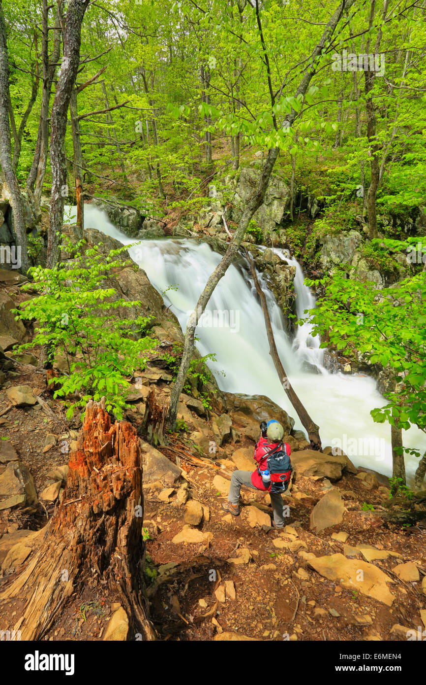 Rose River Falls, Shenandoah National Park, Virginia, USA Banque D'Images