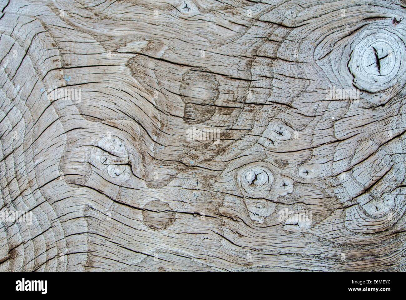Surface de bois sèche et crevassée, Banque D'Images