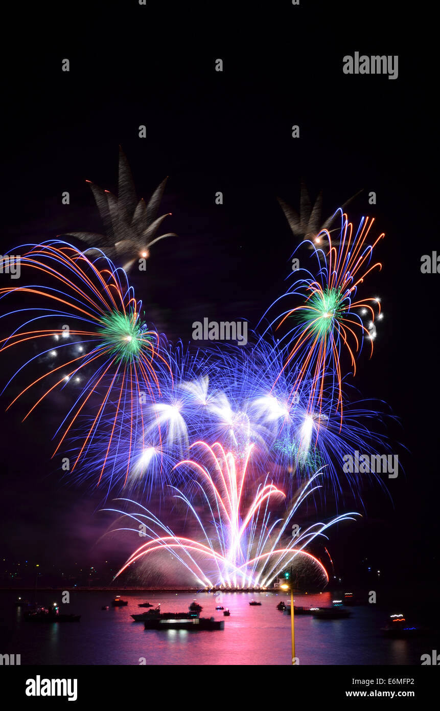 D'Artifice britannique championnats 2014 Banque D'Images