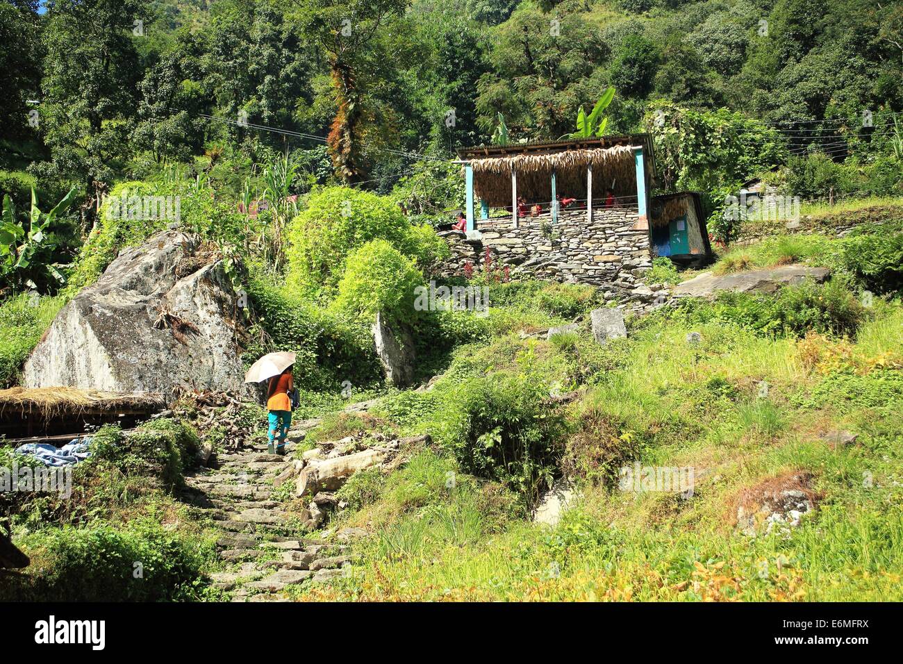 GHANDRUK, NÉPAL - 10 octobre : Les enfants vont jusqu'à l'école grâce à l'escalier de pierre de la Madi Khola-river à Ghandruk village Banque D'Images