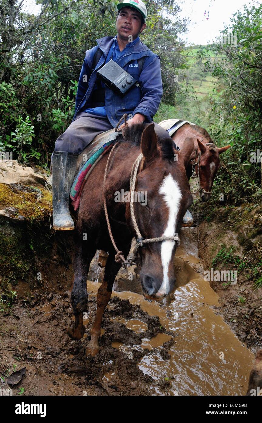 Route pour la collecte des pommes de terre à Cruzpata - CHACHAPOYAS . Ministère de l'Amazonas .PÉROU Banque D'Images