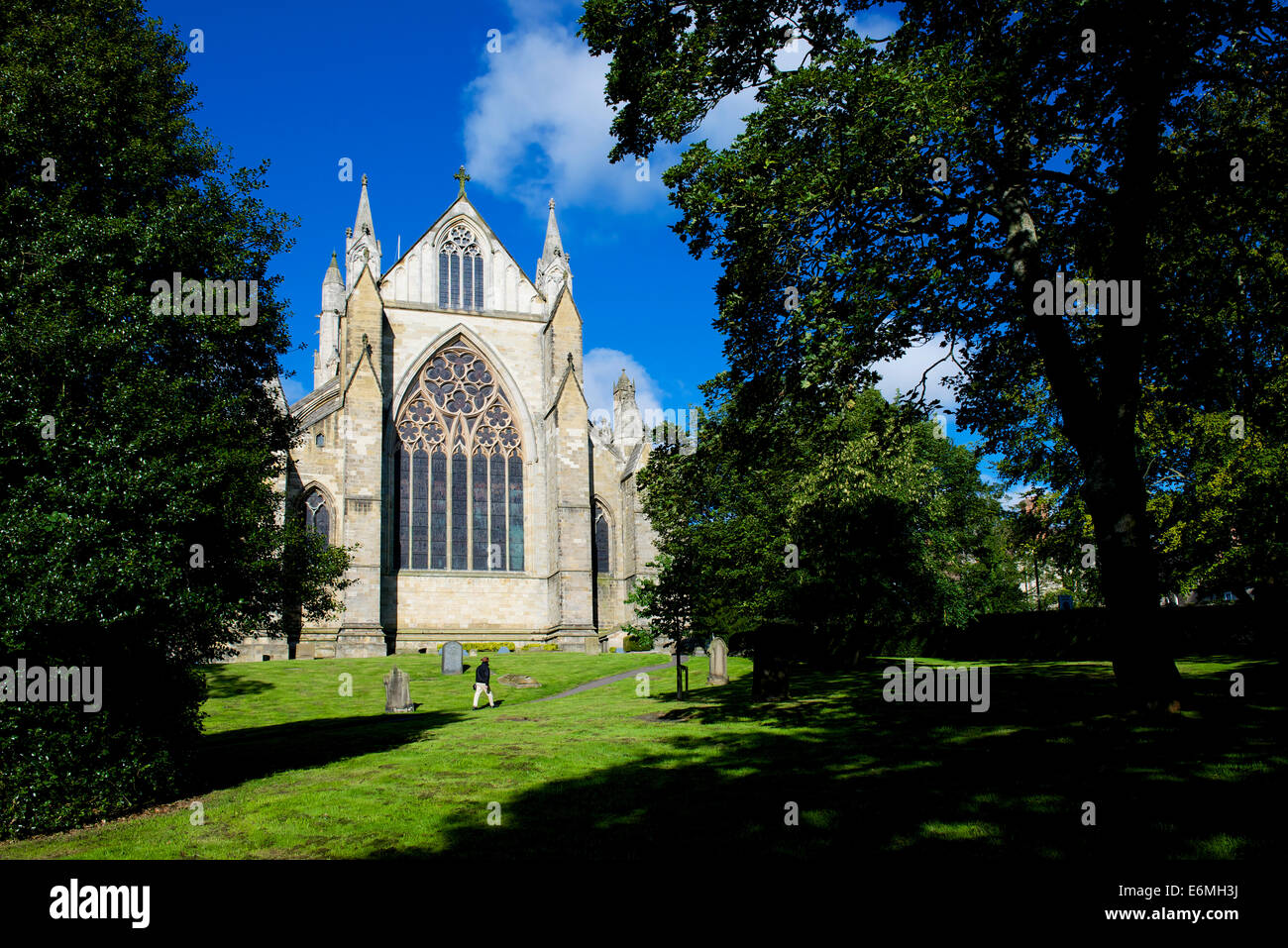 La cathédrale de Ripon, North Yorkshire, England UK Banque D'Images