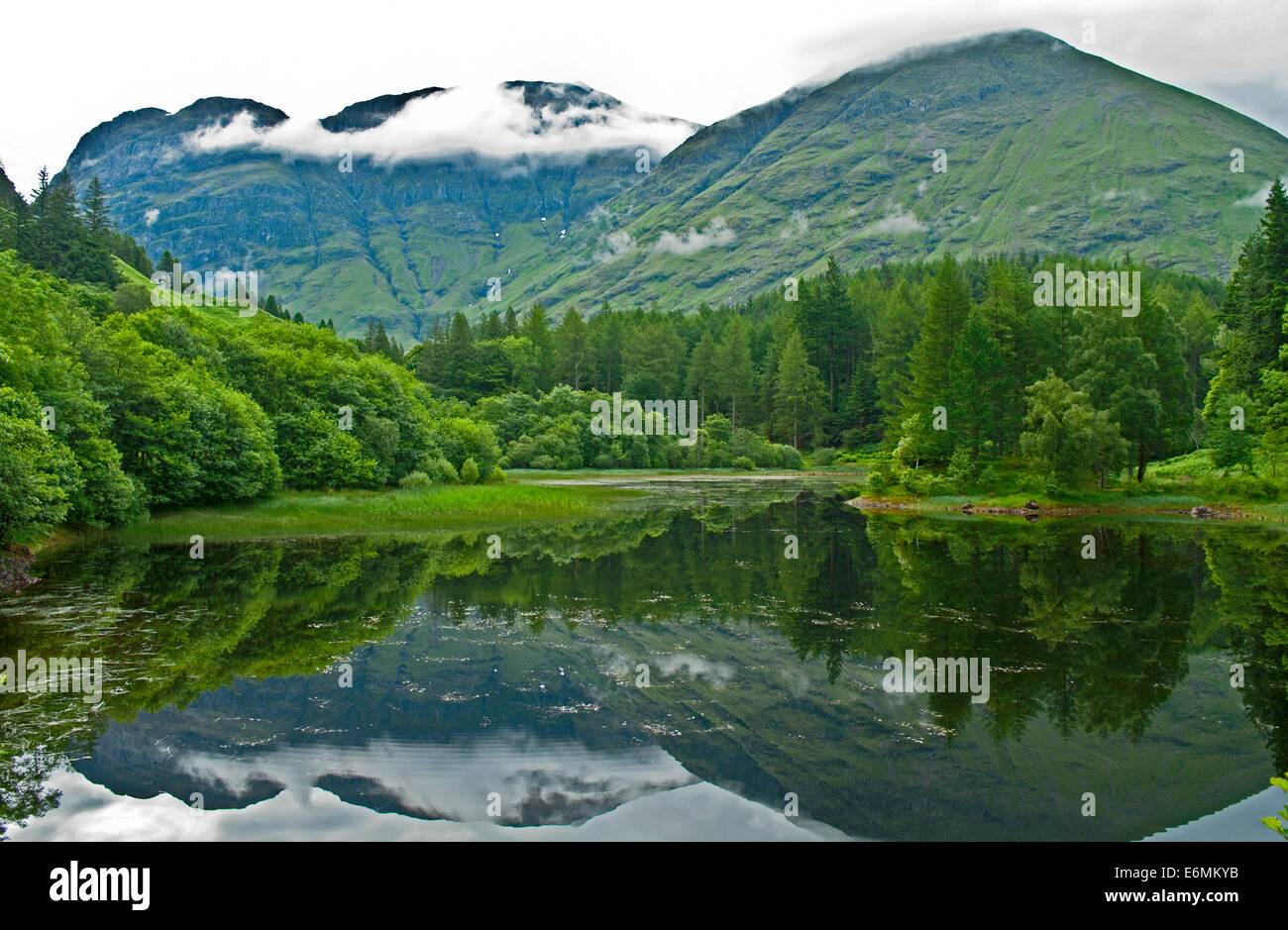 Tôt le matin, la brume s'accroche à Aonach Dubh et un t-Sron, reflétée dans un lochan Glencoe, Lochaber, Highlands, Scotland UK Banque D'Images