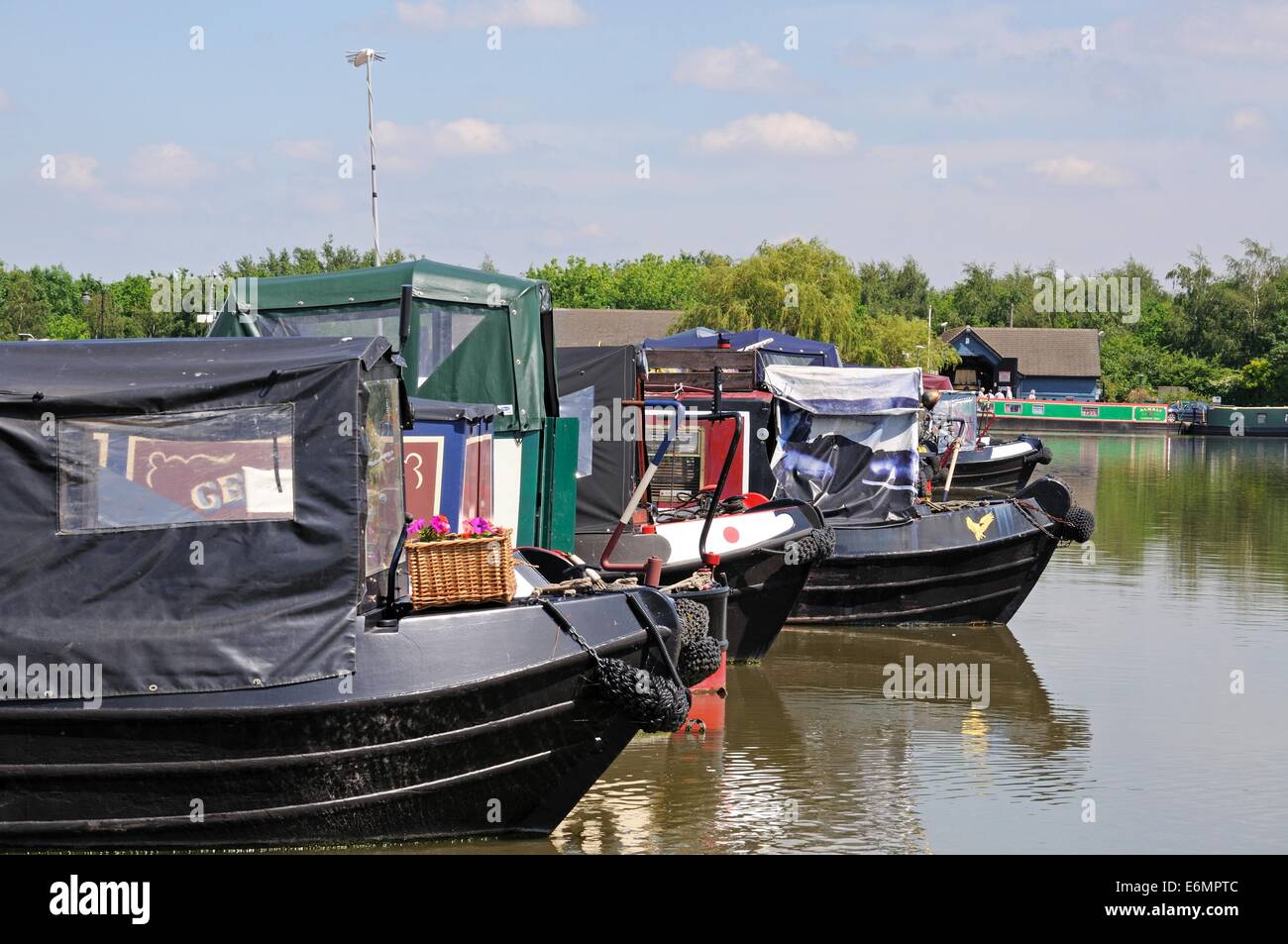 Narrowboats sur leurs amarres dans le bassin du canal, Barton Marina, Barton-under-Needwood, Staffordshire, Angleterre, Royaume-Uni, Europe. Banque D'Images