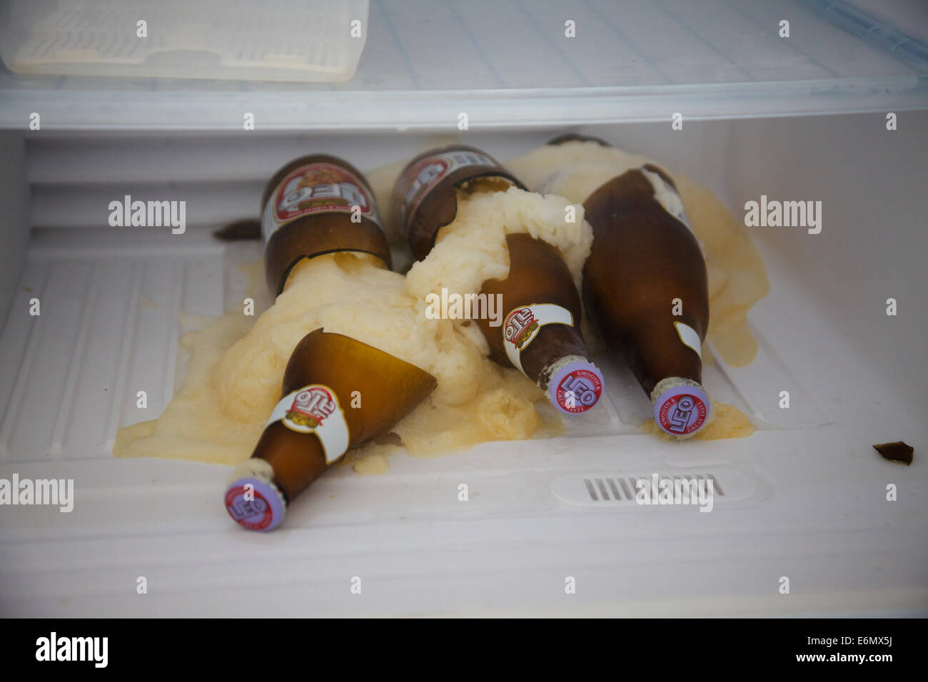 Les bouteilles de bière mis dans un congélateur pendant de long Photo Stock  - Alamy