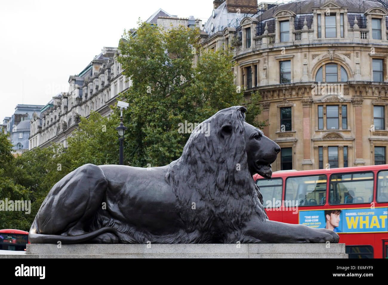 L'un des célèbres lions au Trafalgar Square London England Banque D'Images