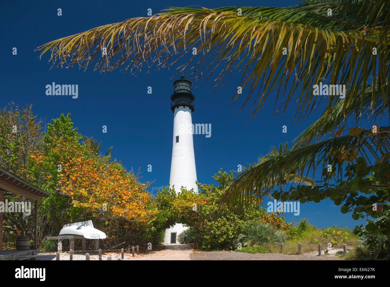 PALM FRONDS LIGHTHOUSE CAPE FLORIDA STATE PARK BISCAYNE BAY FLORIDA ÉTATS-UNIS Banque D'Images