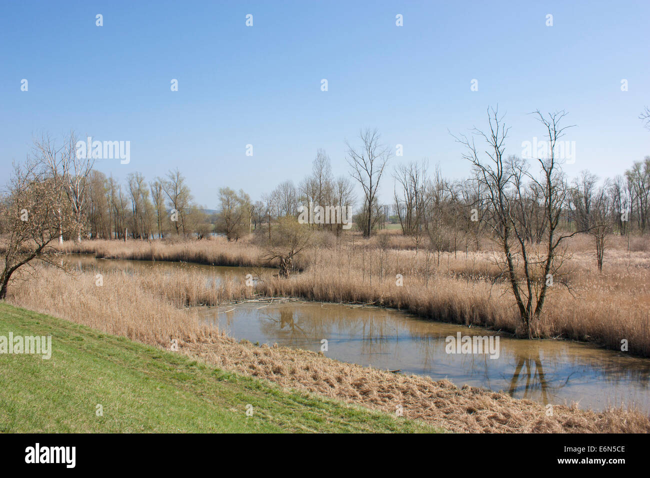 Allemagne Danube Donau bavarois de l'eau inondation Backwater Banque D'Images