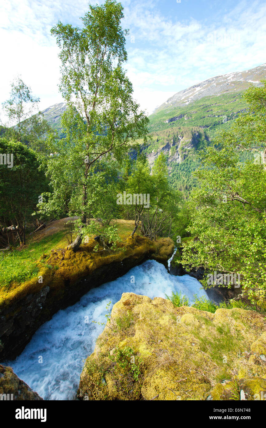 Du nord des Cascades fjords norvégiens. Banque D'Images