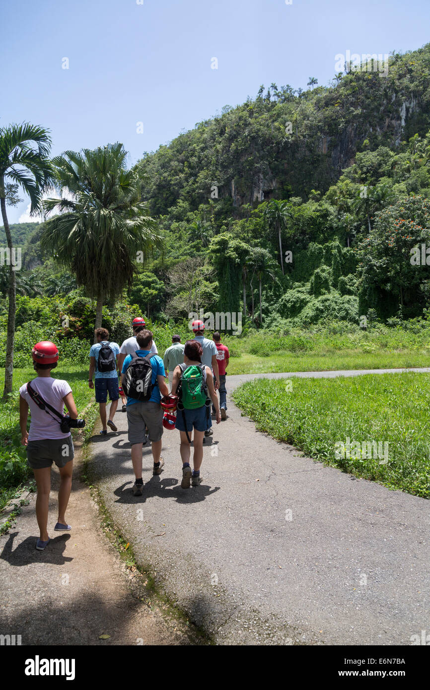 Les touristes à marcher avec des casques à la Cueva de Santo Tomás, Grotte de St Thomas, près de Vinales, Pinar del Río, Cuba Banque D'Images