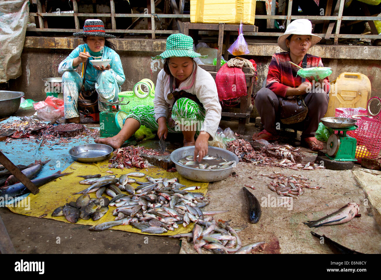 Le Cambodge, en Asie du sud-est, marché traditionnel à Kratié, avec les gens d'acheter et de faire des emplettes pour la nourriture, femme vendant du poisson Banque D'Images