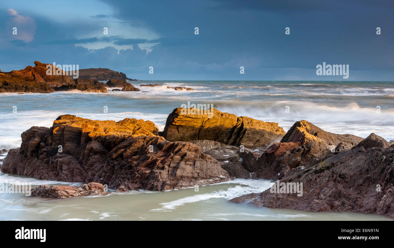 Côte Rocheuse à Ayrmer Cove dans le sud du Devon, South Hams, Angleterre, Royaume-Uni, Europe. Banque D'Images