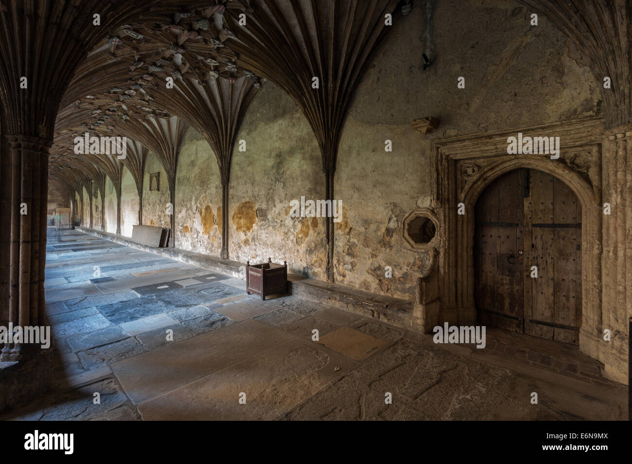 Cloître de la cathédrale de Canterbury, Angleterre. Banque D'Images