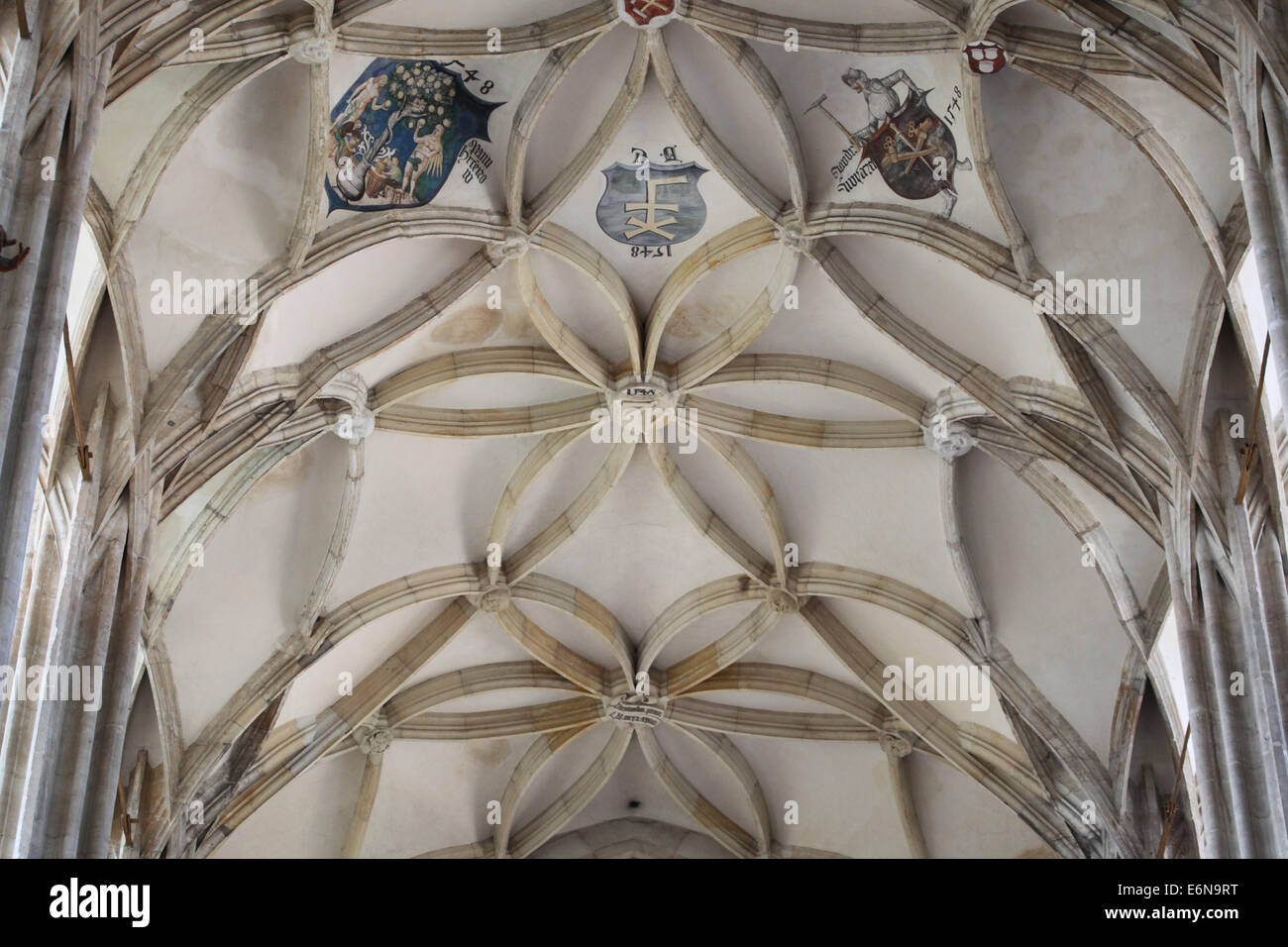 Voûte nervurée gothique décoré d'armoiries dans l'église Sainte Barbara à Kutná Hora, République tchèque. Banque D'Images